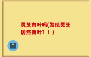 灵芝有叶吗(发现灵芝居然有叶？！)