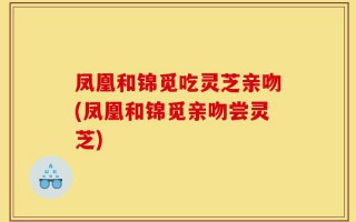 凤凰和锦觅吃灵芝亲吻(凤凰和锦觅亲吻尝灵芝)