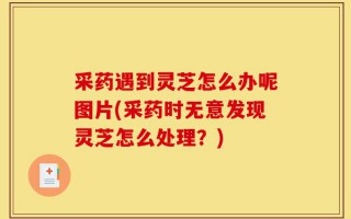 采药遇到灵芝怎么办呢图片(采药时无意发现灵芝怎么处理？)