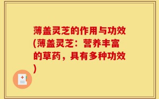 薄盖灵芝的作用与功效(薄盖灵芝：营养丰富的草药，具有多种功效)