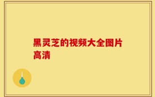 黑灵芝的视频大全图片高清