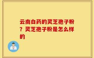 云南白药的灵芝孢子粉？灵芝孢子粉是怎么样的