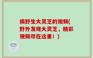 摘野生大灵芝的视频(野外发现大灵芝，精彩视频尽在这里！)