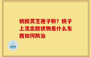 桃胶灵芝孢子粉？桃子上流出胶状物是什么东西如何防治