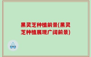 黑灵芝种植前景(黑灵芝种植展现广阔前景)