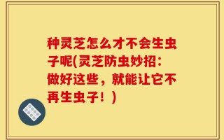 种灵芝怎么才不会生虫子呢(灵芝防虫妙招：做好这些，就能让它不再生虫子！)