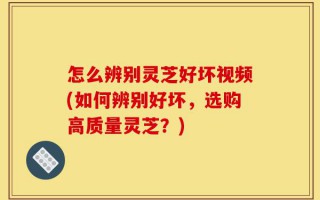 怎么辨别灵芝好坏视频(如何辨别好坏，选购高质量灵芝？)