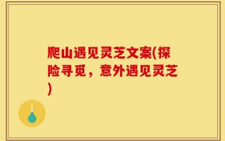 爬山遇见灵芝文案(探险寻觅，意外遇见灵芝)