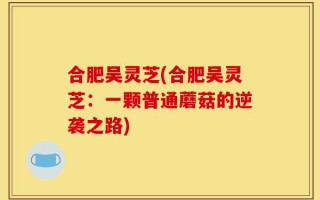 合肥吴灵芝(合肥吴灵芝：一颗普通蘑菇的逆袭之路)
