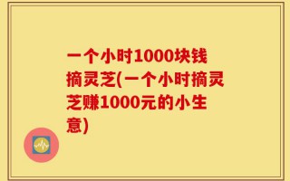 一个小时1000块钱摘灵芝(一个小时摘灵芝赚1000元的小生意)
