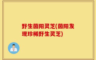 野生茵阳灵芝(茵阳发现珍稀野生灵芝)