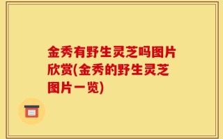 金秀有野生灵芝吗图片欣赏(金秀的野生灵芝图片一览)