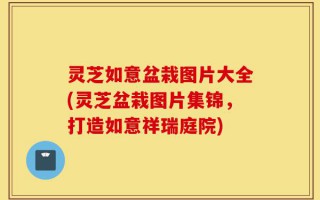 灵芝如意盆栽图片大全(灵芝盆栽图片集锦，打造如意祥瑞庭院)