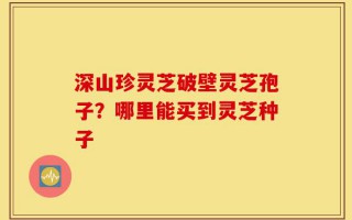 深山珍灵芝破壁灵芝孢子？哪里能买到灵芝种子