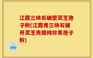 江霞三块石破壁灵芝孢子粉(江霞用三块石破开灵芝壳提纯珍贵孢子粉)