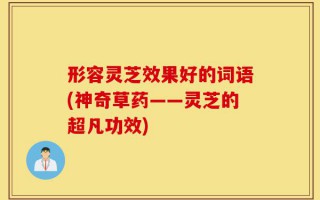形容灵芝效果好的词语(神奇草药——灵芝的超凡功效)