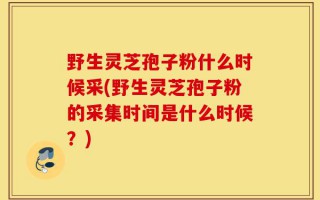 野生灵芝孢子粉什么时候采(野生灵芝孢子粉的采集时间是什么时候？)
