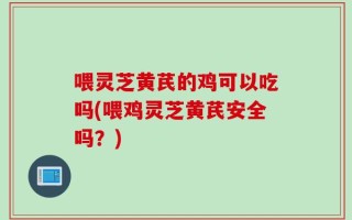 喂灵芝黄芪的鸡可以吃吗(喂鸡灵芝黄芪安全吗？)