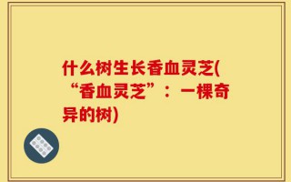 什么树生长香血灵芝(“香血灵芝”：一棵奇异的树)
