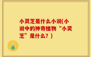 小灵芝是什么小说(小说中的神奇植物“小灵芝”是什么？)