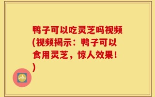鸭子可以吃灵芝吗视频(视频揭示：鸭子可以食用灵芝，惊人效果！)