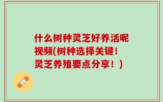 什么树种灵芝好养活呢视频(树种选择关键！灵芝养殖要点分享！)