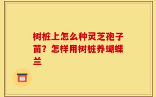 树桩上怎么种灵芝孢子苗？怎样用树桩养蝴蝶兰