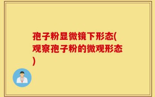 孢子粉显微镜下形态(观察孢子粉的微观形态)