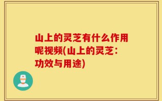 山上的灵芝有什么作用呢视频(山上的灵芝：功效与用途)
