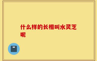什么样的长相叫水灵芝呢