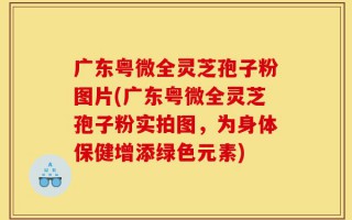 广东粤微全灵芝孢子粉图片(广东粤微全灵芝孢子粉实拍图，为身体保健增添绿色元素)