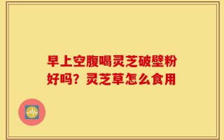 早上空腹喝灵芝破壁粉好吗？灵芝草怎么食用