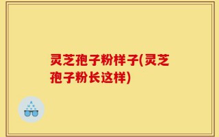 灵芝孢子粉样子(灵芝孢子粉长这样)