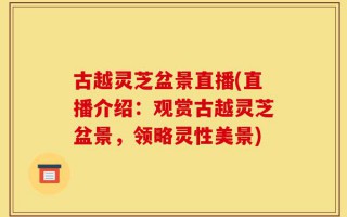 古越灵芝盆景直播(直播介绍：观赏古越灵芝盆景，领略灵性美景)