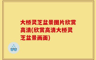 大桥灵芝盆景图片欣赏高清(欣赏高清大桥灵芝盆景画面)