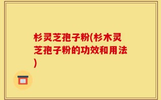 杉灵芝孢子粉(杉木灵芝孢子粉的功效和用法)