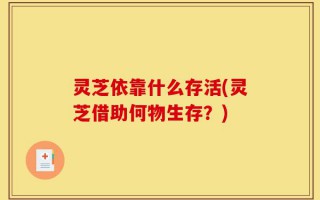 灵芝依靠什么存活(灵芝借助何物生存？)