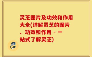 灵芝图片及功效和作用大全(详解灵芝的图片、功效和作用 - 一站式了解灵芝)