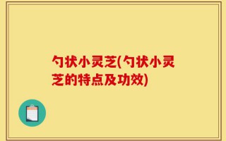勺状小灵芝(勺状小灵芝的特点及功效)