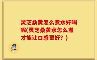 灵芝桑黄怎么煮水好喝呢(灵芝桑黄水怎么煮才能让口感更好？)