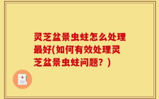 灵芝盆景虫蛀怎么处理最好(如何有效处理灵芝盆景虫蛀问题？)