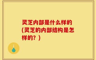 灵芝内部是什么样的 (灵芝的内部结构是怎样的？)