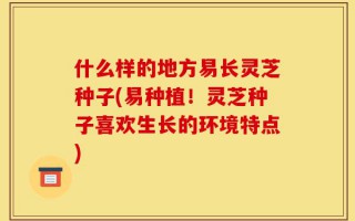 什么样的地方易长灵芝种子(易种植！灵芝种子喜欢生长的环境特点)