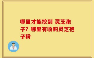 哪里才能挖到 灵芝孢子？哪里有收购灵芝孢子粉