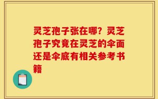 灵芝孢子张在哪？灵芝孢子究竟在灵芝的伞面还是伞底有相关参考书籍