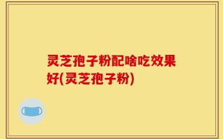 灵芝孢子粉配啥吃效果好(灵芝孢子粉)