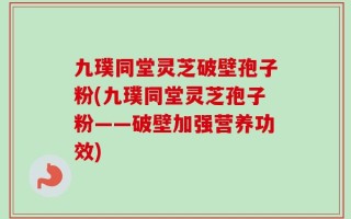 九璞同堂灵芝破壁孢子粉(九璞同堂灵芝孢子粉——破壁加强营养功效)