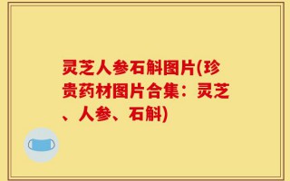 灵芝人参石斛图片(珍贵药材图片合集：灵芝、人参、石斛)