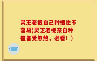 灵芝老板自己种植也不容易(灵芝老板亲自种植备受煎熬，必看！)