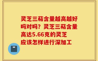 灵芝三萜含量越高越好吗对吗？灵芝三萜含量高达5.66克的灵芝应该怎样进行深加工